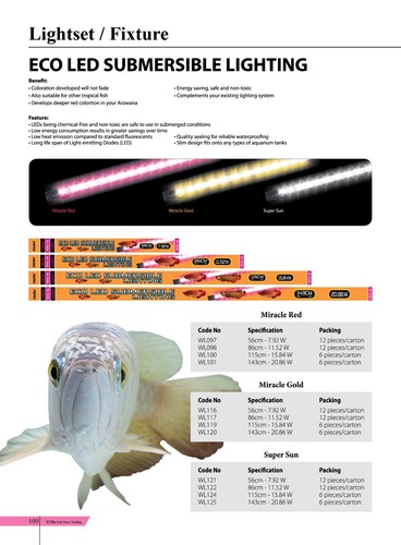 Classica eco arowana - super, sun