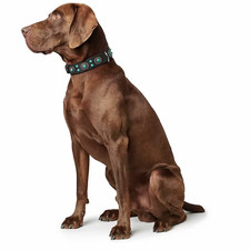 HUNTER LEATHER SIOUX DOG