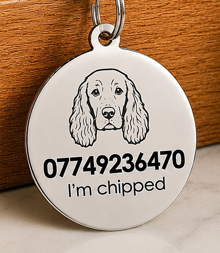 Personalised springer spaniel - springer,