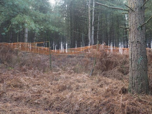 Photo 12x8 disused - 12x8,