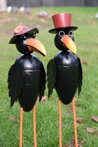 Standing crow garden - standing,