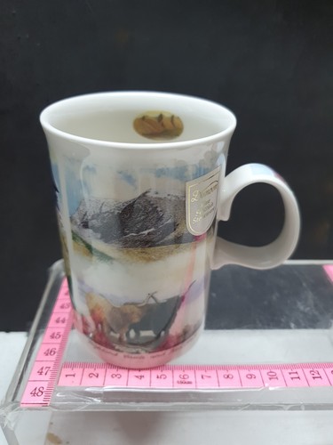 Dunoon china mug historic - china,