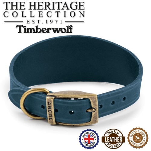 Dog collar whippet greyhound - dog,