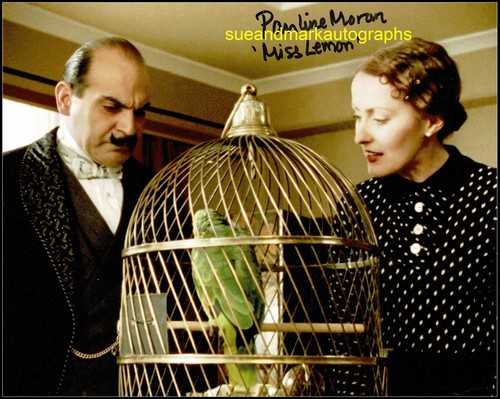 Pauline moran agatha - pauline,