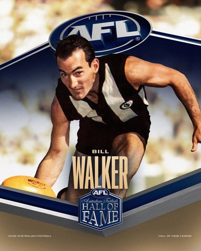 Afl football champion - afl,
