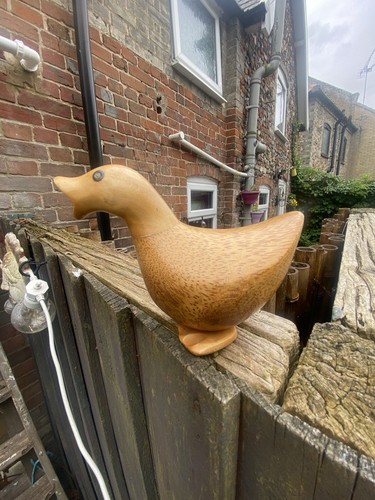 Superb dcuk ducky - dcuk,