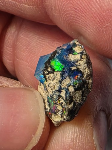 Black opal - black,