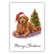 Chesapeake Bay Retriever