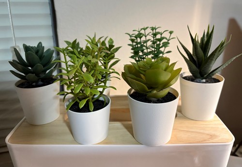 Ikea artificial succulent - ikea,