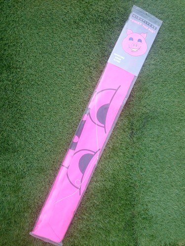 Pinky the pig kite - pig,
