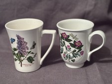 Two Portmeirion Botanic