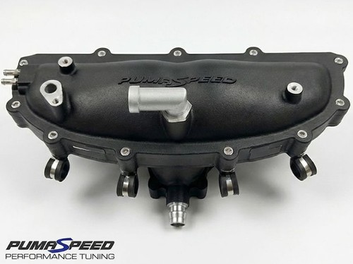 Pumaspeed racing ford fiesta - pumaspeed,