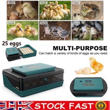 25 Eggs Digital Incubator