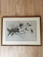 Framed And Glazed Pastel Of Border Collie Signed