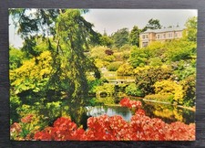 Vintage Postcard Unused Hodnet