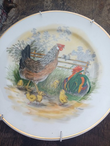 Vintage bone china decorative - bone,