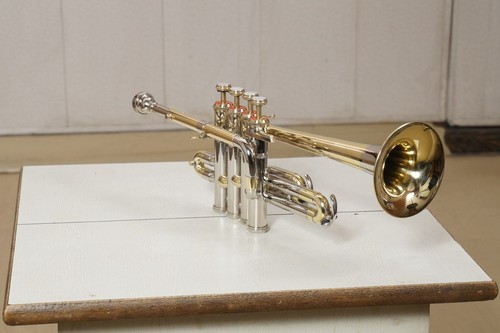 Piccolo trumpet handmade - bb/a,