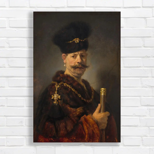 Nobleman ornate robe - ornate,