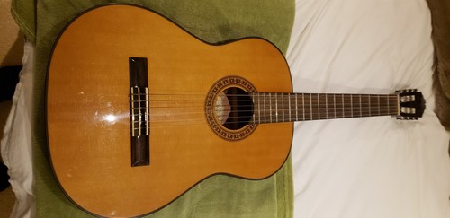 Washburn c40 classical series - classical,