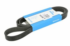 DAYCO DAY6PK1685 V-Ribbed Belt