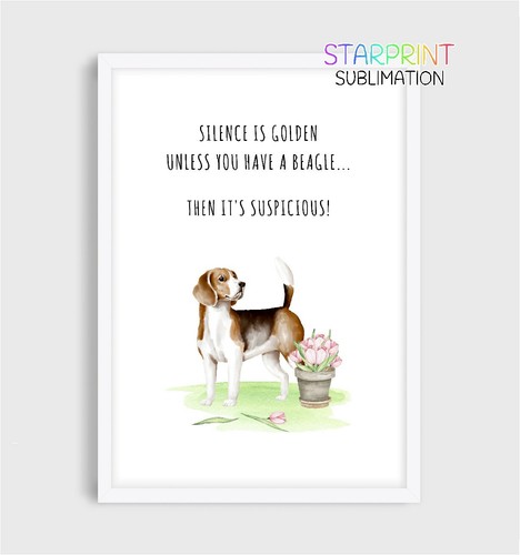 Beagle picture unframed a4 - picture,,