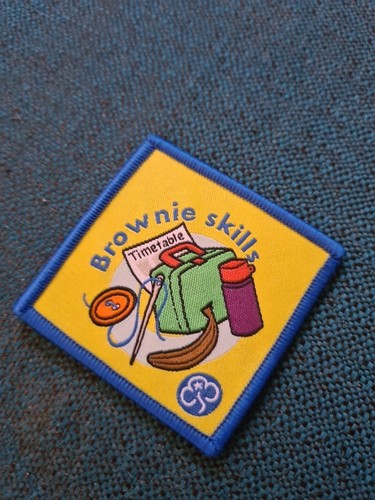 Old brownie badges - brownie,