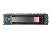 HPE Midline - Hard drive - 1