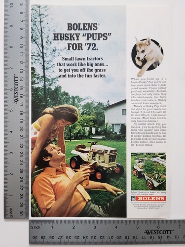 Bolens husky pups - husky, tractor