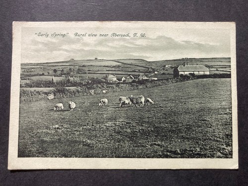 Early spring near - "early, abersoch