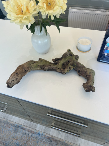 Large aquarium driftwood - aquarium,