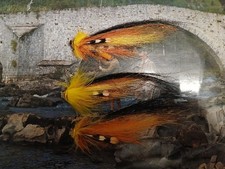 Willie Gunn Turbo Disc Frodin