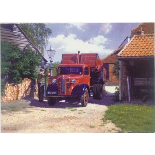 Austin builders tipper - austin, k4