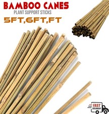Bamboo Canes Garden Natural