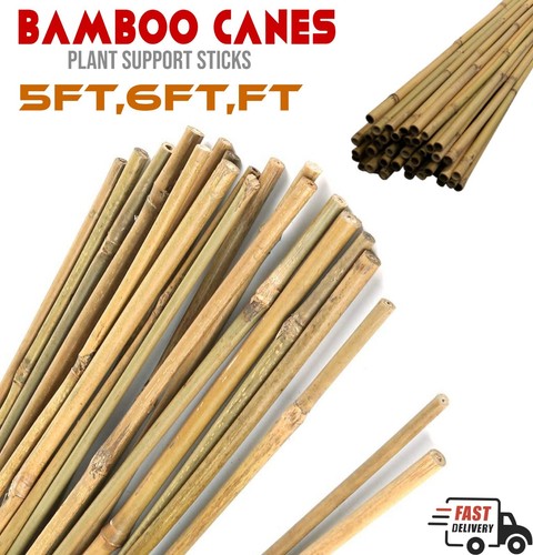Bamboo canes garden - bamboo, natural