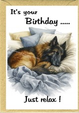 Tervueren belgian shepherd dog - belgian,