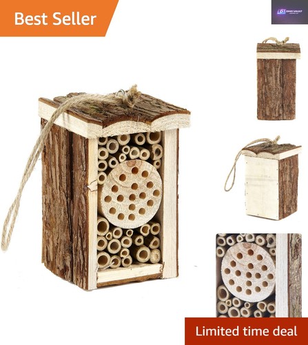 Compact natural wooden - wooden, insect