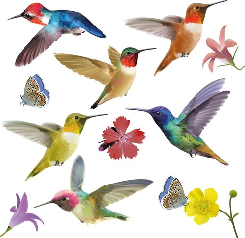 Walplus hummingbird stickers - walplus,