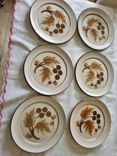 Denby Cotswold Tea Plates Set