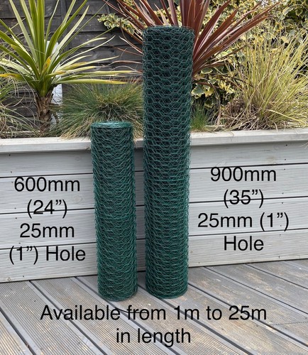 Pvc coated chicken wire mesh - coated,