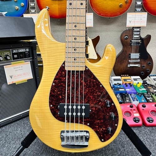 Olp musicman stingray - by,