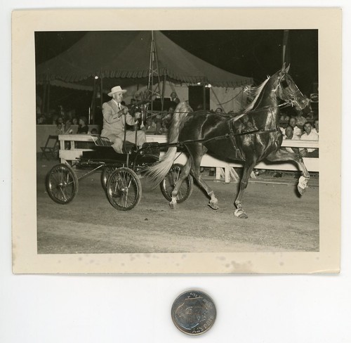 Vintage 1940 horse cart - vintage,