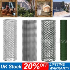 Chicken wire mesh - chicken,