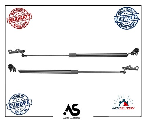Tailgate boot struts gas - tailgate,