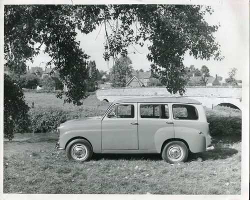 Standard companion original - standard,