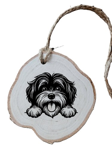 Havanese dog sign birch - dog, sign,