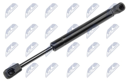 012 nty gas - ae-mz-012, spring