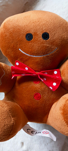 Bambini gingerbread man - man, small