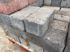 220 Heavy Duty Brick Pavers / Paviors