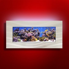 New original aussie - new!, aquarium