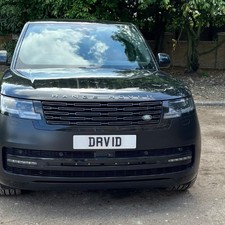 DAVID DRV 1D Cherished Reg